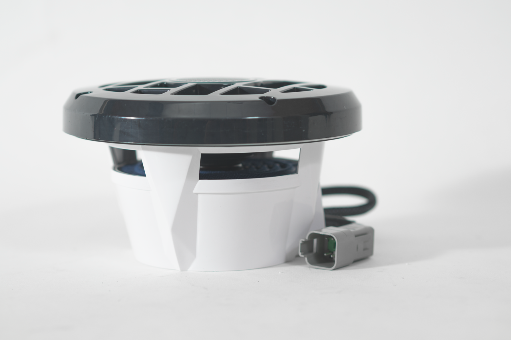 Roswell R6.5 Speaker