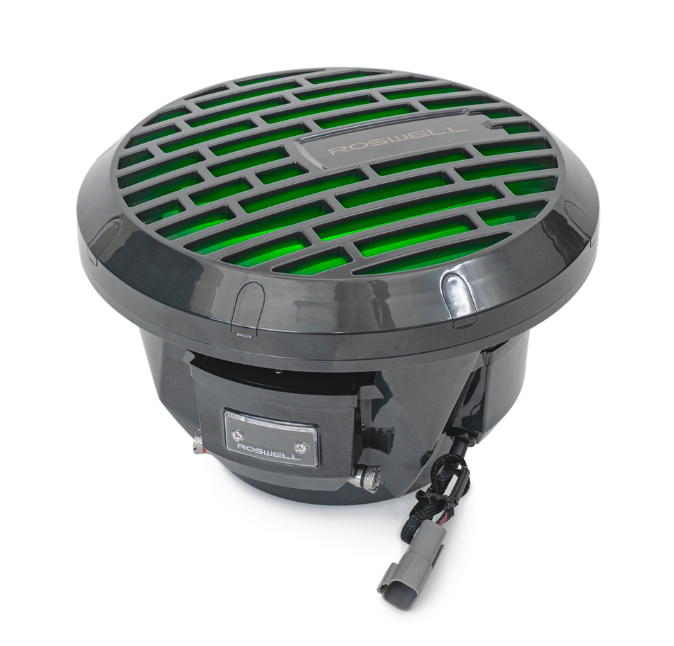 Roswell R1 10 inch subwoofer