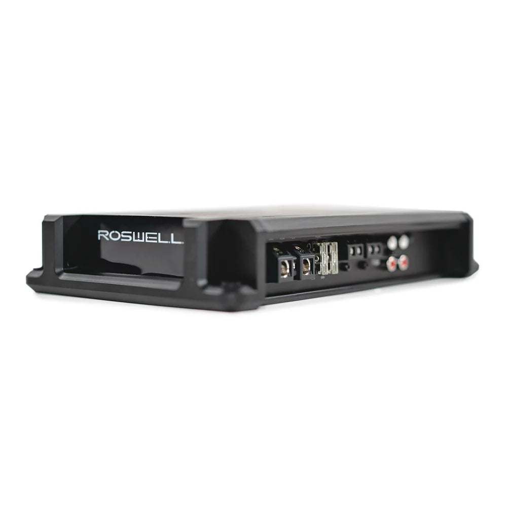 Roswell marine 2 channel amp