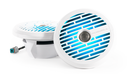 Roswell R1 8 inch speaker LED