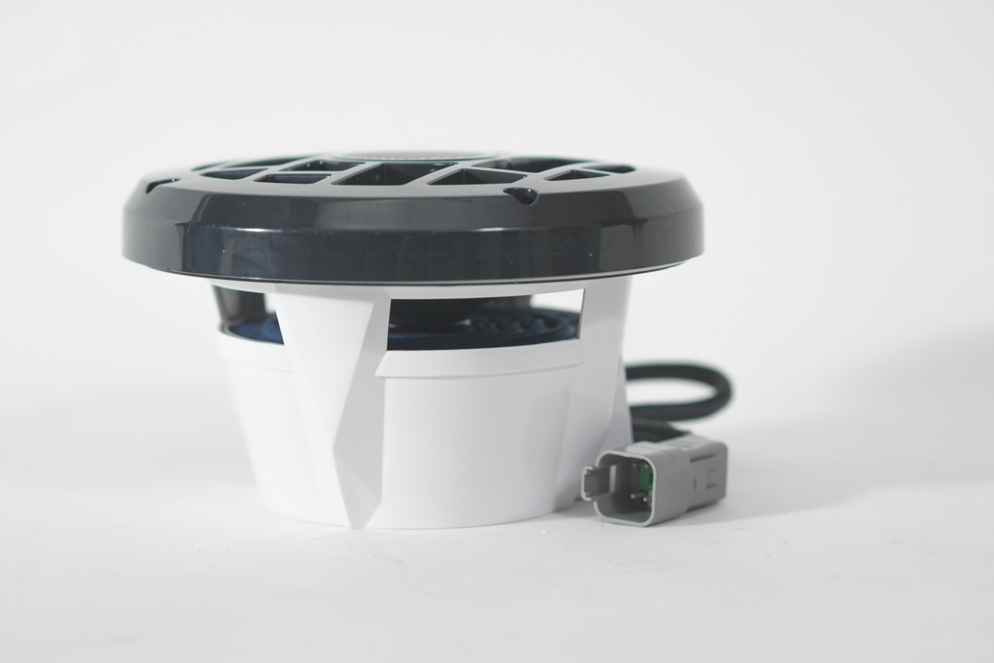 Roswell R6.5 Speaker
