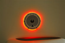 JL Audio MX650 LED Rings (Pair)