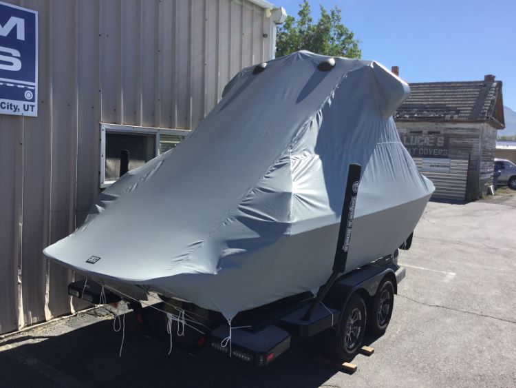 Axis A20 with Grey Skull Tower and Factory Bimini Double Up Storage Cover