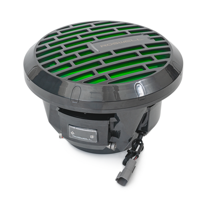 Roswell R1 10 inch subwoofer