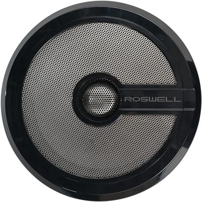 Roswell R1 6.5 inch speaker limited edition