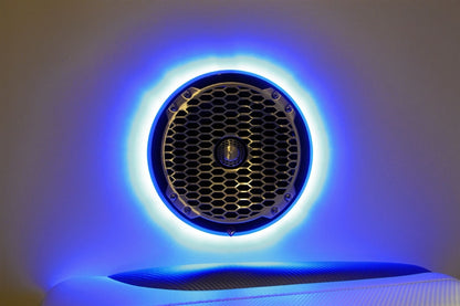Rockford Fosgate M262 LED Speaker Ring (pair)