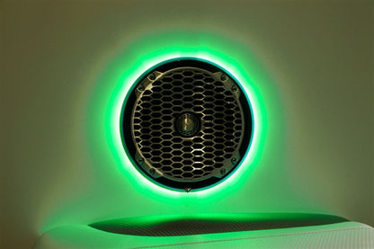 Rockford Fosgate M262 LED Speaker Ring (pair)