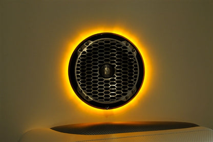 Rockford Fosgate M262 LED Speaker Ring (pair)