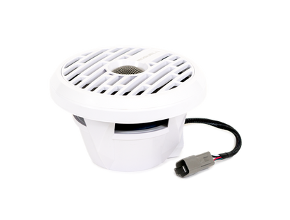 Roswell R1 speaker connector