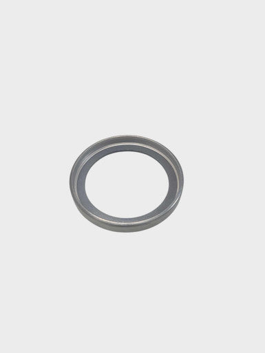 THERMOSTAT SEAL