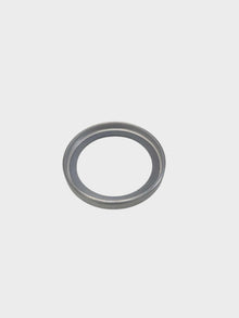 THERMOSTAT SEAL