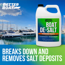 De-Salt Concentrate Salt Remover and Flusher