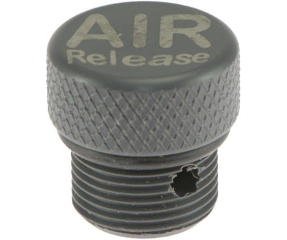 W749 Air Release ballast plug